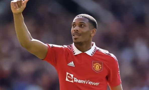 貌的推搡动 貌的推搡动